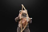 20-Star-Wars-Episode-VI-40th-Anniversary-Black-Series-Figura-Wicket-15-cm.jpg