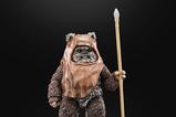 21-Star-Wars-Episode-VI-40th-Anniversary-Black-Series-Figura-Wicket-15-cm.jpg