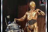 14-Star-Wars-Episode-VI-40th-Anniversary-Figura-16-C3PO-29-cm.jpg