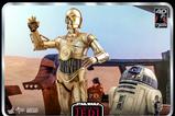 15-Star-Wars-Episode-VI-40th-Anniversary-Figura-16-C3PO-29-cm.jpg
