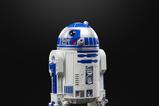 05-Star-Wars-Episode-VI-40th-Anniversary-Vintage-Collection-Figura-ArtooDetoo-R.jpg