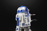 08-Star-Wars-Episode-VI-40th-Anniversary-Vintage-Collection-Figura-ArtooDetoo-R.jpg