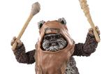 02-Star-Wars-Episode-VI-Black-Series-Figura-Wicket-15-cm.jpg