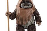 03-star-wars-episode-vi-black-series-figura-wicket-15-cm.jpg