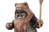 06-star-wars-episode-vi-black-series-figura-wicket-15-cm.jpg