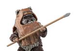 07-Star-Wars-Episode-VI-Black-Series-Figura-Wicket-15-cm.jpg