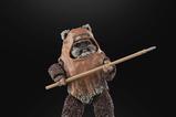 08-star-wars-episode-vi-black-series-figura-wicket-15-cm.jpg