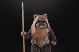 09-star-wars-episode-vi-black-series-figura-wicket-15-cm.jpg