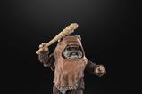 11-star-wars-episode-vi-black-series-figura-wicket-15-cm.jpg