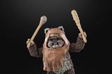 12-Star-Wars-Episode-VI-Black-Series-Figura-Wicket-15-cm.jpg