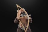 13-Star-Wars-Episode-VI-Black-Series-Figura-Wicket-15-cm.jpg