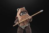 14-Star-Wars-Episode-VI-Black-Series-Figura-Wicket-15-cm.jpg