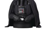 01-Star-Wars-Episode-VI-Busto-16-Darth-Vader-unhelmeted-15-cm.jpg