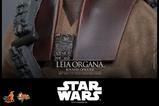 13-Star-Wars-Episode-VI-Figura-Movie-Masterpiece-16-Leia-Organa-Boushh-Disguise.jpg