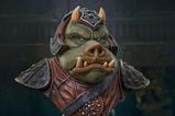 02-star-wars-episode-vi-legends-in-3d-busto-12-gamorrean-guard-25-cm.jpg