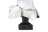 02-Star-Wars-Episode-VI-Legends-in-3D-Busto-12-Snowtrooper-25-cm.jpg