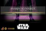 19-Star-Wars-Episodio-III-La-Venganza-de-los-Sith-Movie-Masterpiece-Figura-16-A.jpg