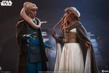 08-Star-Wars-Episodio-VI--El-retorno-del-Jedi-16-Bib-Fortuna-32-cm.jpg