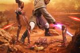 12-Star-Wars-Estatua-110-Art-Scale-Mace-Windu-18-cm.jpg