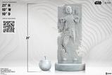 08-Star-Wars-Estatua-Han-Solo-in-Carbonite-Crystallized-Relic-53-cm.jpg