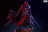 14-Star-Wars-Estatua-Premium-Format-Mixed-Media-14-Darth-Revan-58-cm.jpg