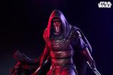 18-Star-Wars-Estatua-Premium-Format-Mixed-Media-14-Darth-Revan-58-cm.jpg