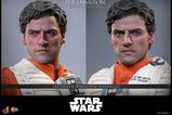 13-Star-Wars-Figura-16-Poe-Dameron-30-cm.jpg