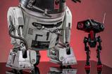 17-Star-Wars-Figura-Set-16-Chopper-C110Ptrade--BD1trade-Imperial-Disgu.jpg