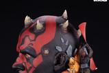 14-Star-Wars-Fine-Art-Busto-Darth-Maul-37-cm.jpg