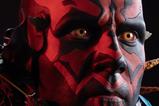 22-Star-Wars-Fine-Art-Busto-Darth-Maul-37-cm.jpg