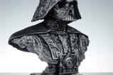 11-Star-Wars-Fine-Art-Busto-Darth-Vader-46-cm.jpg