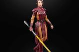 12-Star-Wars-Knights-of-the-Old-Republic-Black-Series-Gaming-Greats-Figura-Basti.jpg