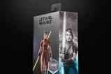 14-Star-Wars-Knights-of-the-Old-Republic-Black-Series-Gaming-Greats-Figura-Basti.jpg