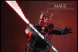 08-Star-Wars-Maul--Seor-de-las-sombras-Television-Masterpiece-Figura-16-Maul-.jpg