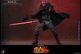 12-Star-Wars-Maul--Seor-de-las-sombras-Television-Masterpiece-Figura-16-Maul-.jpg
