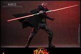 13-Star-Wars-Maul--Seor-de-las-sombras-Television-Masterpiece-Figura-16-Maul-.jpg