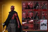 23-Star-Wars-Maul--Seor-de-las-sombras-Television-Masterpiece-Figura-16-Maul-.jpg