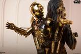 06-Star-Wars-Premium-Format-Estatua-Chewbacca-and-C3PO-63-cm.jpg