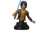 01-Star-Wars-Rebels-Busto-17-Ezra-Bridger-13-cm.jpg