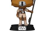 01-Star-Wars-Return-of-the-Jedi-40th-Anniversary-POP-Vinyl-Figura-Leia-Boushh-.jpg