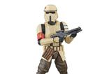 11-Star-Wars-Rogue-One-Black-Series-Pack-de-2-Figuras-Shoretrooper--Death-Troop.jpg