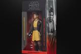 07-star-wars-the-acolyte-black-series-figura-jedi-knight-yord-fandar-15-cm.jpg