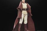 02-star-wars-the-acolyte-black-series-figura-jedi-master-indara-15-cm.jpg