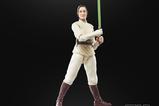 04-star-wars-the-acolyte-black-series-figura-jedi-master-indara-15-cm.jpg