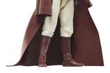 11-star-wars-the-acolyte-black-series-figura-jedi-master-indara-15-cm.jpg