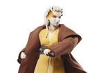 10-star-wars-the-acolyte-black-series-figura-padawan-jecki-lon-15-cm.jpg