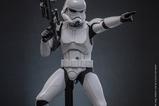 12-Star-Wars-The-Bad-Batch-Figura-16-TK-Stormtrooper-30-cm.jpg