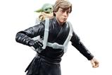 17-Star-Wars-The-Book-of-Boba-Fett-Black-Series-Pack-de-2-Figuras-Luke-Skywalker.jpg