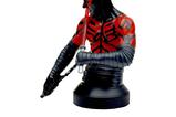 02-Star-Wars-The-Clone-Wars-Busto-16-Darth-Maul-Shirtless-15-cm.jpg