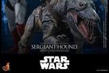 13-Star-Wars-The-Clone-Wars-Figura-16-Sergeant-Hound-30-cm.jpg